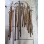 A good selection of 21 walking sticks