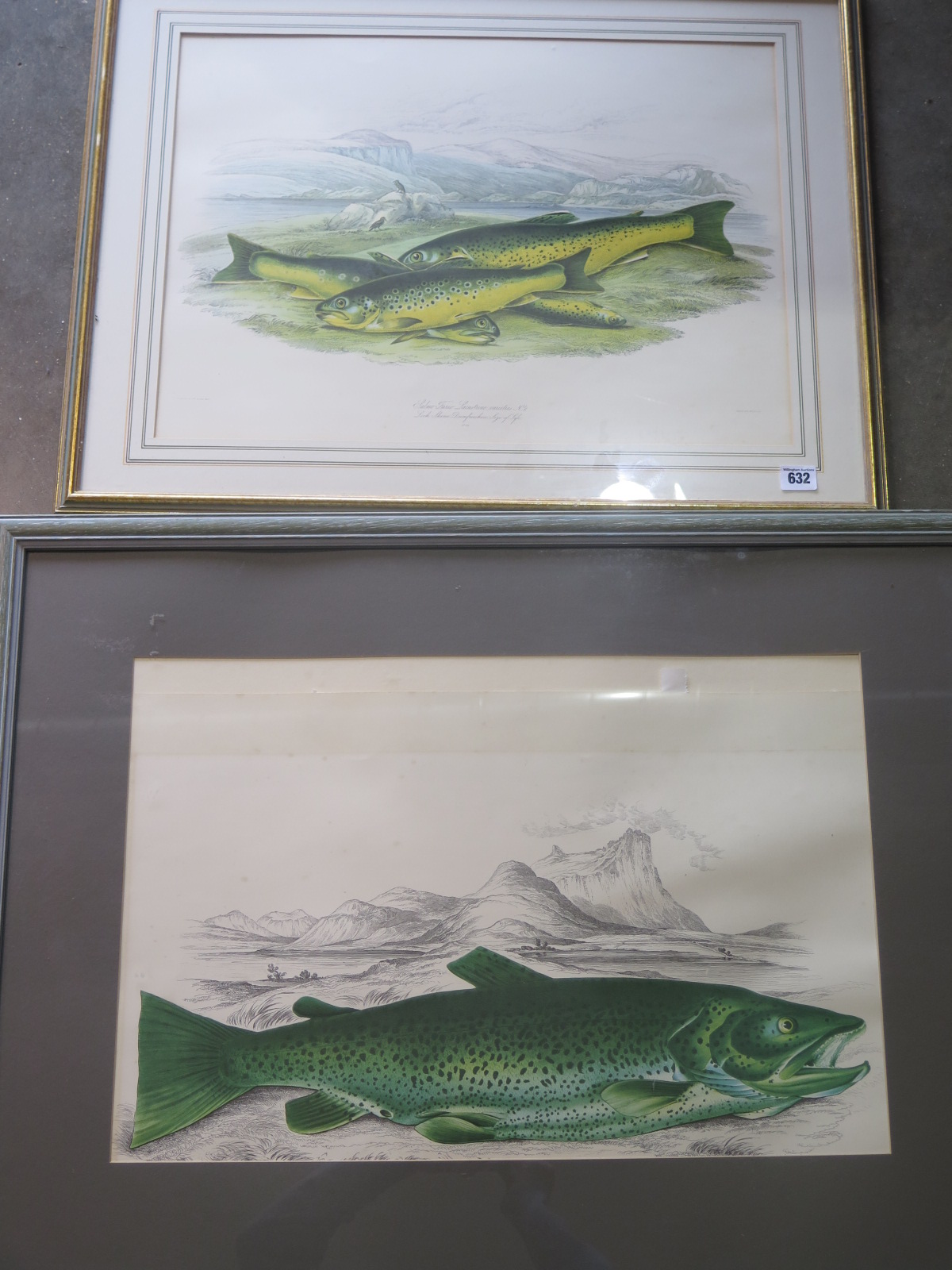 Three angling fish prints and four waterfowl prints