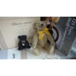 A Steiff Bear with 125 years of Steiff book, 25cm high, mohair, limited edition number 395 of 1880