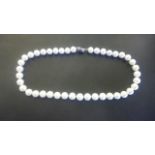 A string of pearls - 43cm long with a silver clasp - some usage but generally good