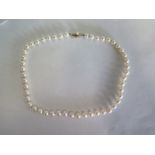 A Pearl necklace with 9ct gold clasp, 42cm long, pearls approx 6mm diameter