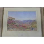 A Robert E F J Wilson watercolour - Spring Under Machiete, Northern Rhodesia - signed and dated