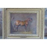 An oil on board bearing plaque - Suffolk Punch Afred Corbould - unsigned, approx frame size 27.5cm x