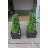 A pair of pyramid Boxus 84cm high in slate style planters