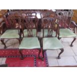 A set of six Georgian style mahogany dining chairs on ball and claw feet, including two carvers