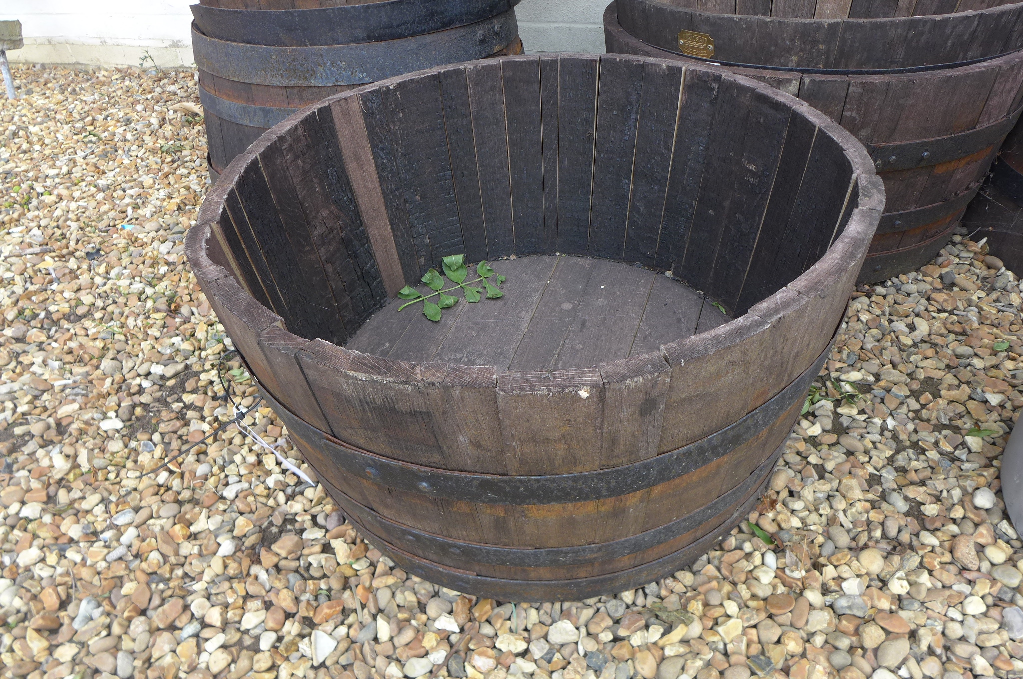 An oak whisky barrel planter 37cm high x 73cm wide