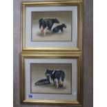 A pair of Neil Westwood watercolours of Fresian cows, dated 1987, in gilt frames, 43x53cm - in