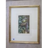 Neil Cox, signed watercolour, of a blue Tit, in a gilt frame - 42x34cm