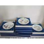 Twelve boxed Royal Worcester bone china plates, The Birds Dorothy Doughty, all good condition