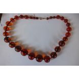 An amber beaded necklace with a gold watch chain clasp, largest bead approx 2.2cm x 2.2cm - total
