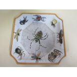 ENTOMOLOGY INTEREST - Unusual Chinese glazed earthenware plate of canted square form,