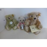 Three Steiff Bears, 1905 - Classic brass, 60th Anniversary and Cinnamon Bear, all good, no boxes