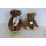 Two Steiff bears, Mr Chocolate, 1905 Classic Brown, both good, chocolate box worn