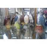 Nine Royal Doulton Whyte and Mackay Scotch bird decanters, all good, all empty