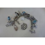 A silver charm bracelet, approx 2 troy oz, and a costume brooch