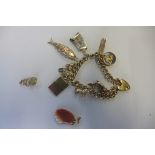 A 9ct yellow gold charm bracelet with heart shape padlock clasp with eight 9ct gold charms, bracelet