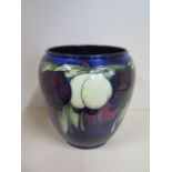 A Moorcroft Wisteria jardiniere vase - 26cm tall, some general marks/crazing..