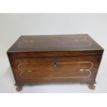 A large Regency rosewood and brass inlaid tea caddy with ormulu beading and gilded paw feet,