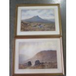 A pair of circa 1900's framed and glazed water colours signed W H Dyer FL 1890-1930 Dartmoor scenes,