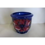 A Moorcroft Clematis blue ground, Jardinere - 13cm tall - no obvious damage, some usage marks, and