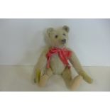 A Steiff bear, 25cm tall, button in ear, issued 1905-1950 - this bear is probably 1920's, glass