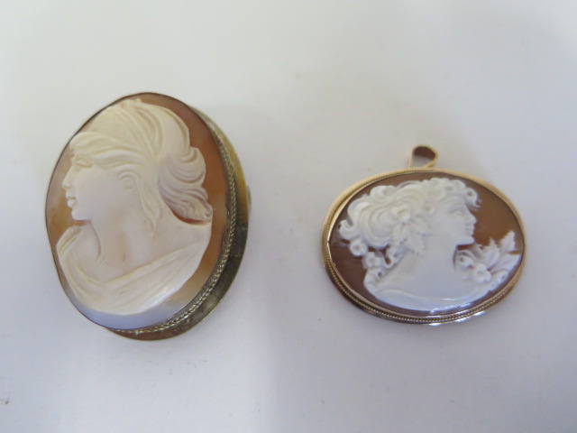 A 9ct gold cameo, the portrait on landscape format, width - 34mm, weight approx 5 grams, and a