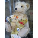 Three Steiff bears, one Barle 35 bought from the Steiff factory in Germany, 45cm tall, and two