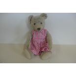 A Steiff bear circa 1950's, 32cm tall, no button loss of mohair to chest and back, holes to flet