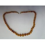 A butterscotch amber bead necklace, 49cm long, largest bead approx 13x11 mm - total weight approx 20