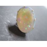 An opal set dress ring, yellow D profile shank and shoulders set to a single, oval, cabochon cut