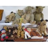 A collection of sixteen vintage teddy bears and soft toys, and The Teddy Bear Encyclopedia, by