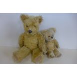 Two English bears circa 1960 - including 43cm, 'Pedigree' bear, with label and plastic moulded