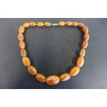 A graduated string of amber type beads in deep honey colour, possibly re-constituted amber,