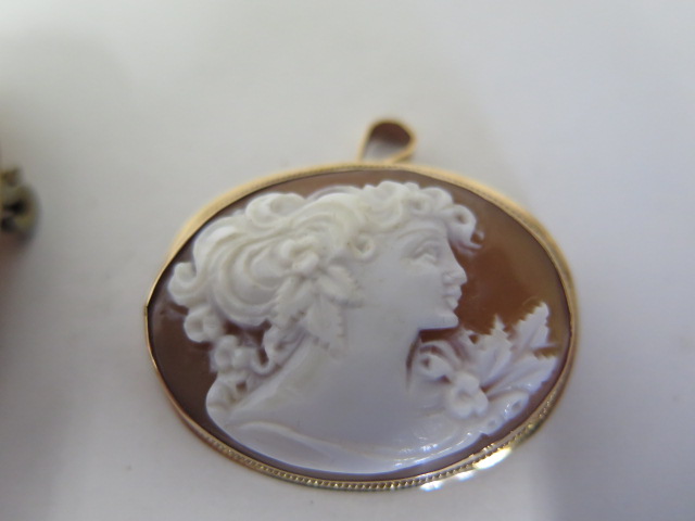 A 9ct gold cameo, the portrait on landscape format, width - 34mm, weight approx 5 grams, and a - Image 2 of 4