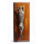 An Austrian cold painted bronze dead game paperclip, modelled as a hare, mounted on a walnut