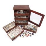 A wooden specimen cabinet, containing a variety of cased gemstones, including a large rough ruby and