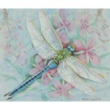 ‡ Gordon Beningfield (1936-1998) Emperor dragonfly (Anax imperator) Signed Watercolour heightened