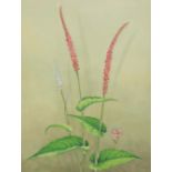 Indian School Study of a red bistort; Study of European goldenrod A pair, watercolour heightened