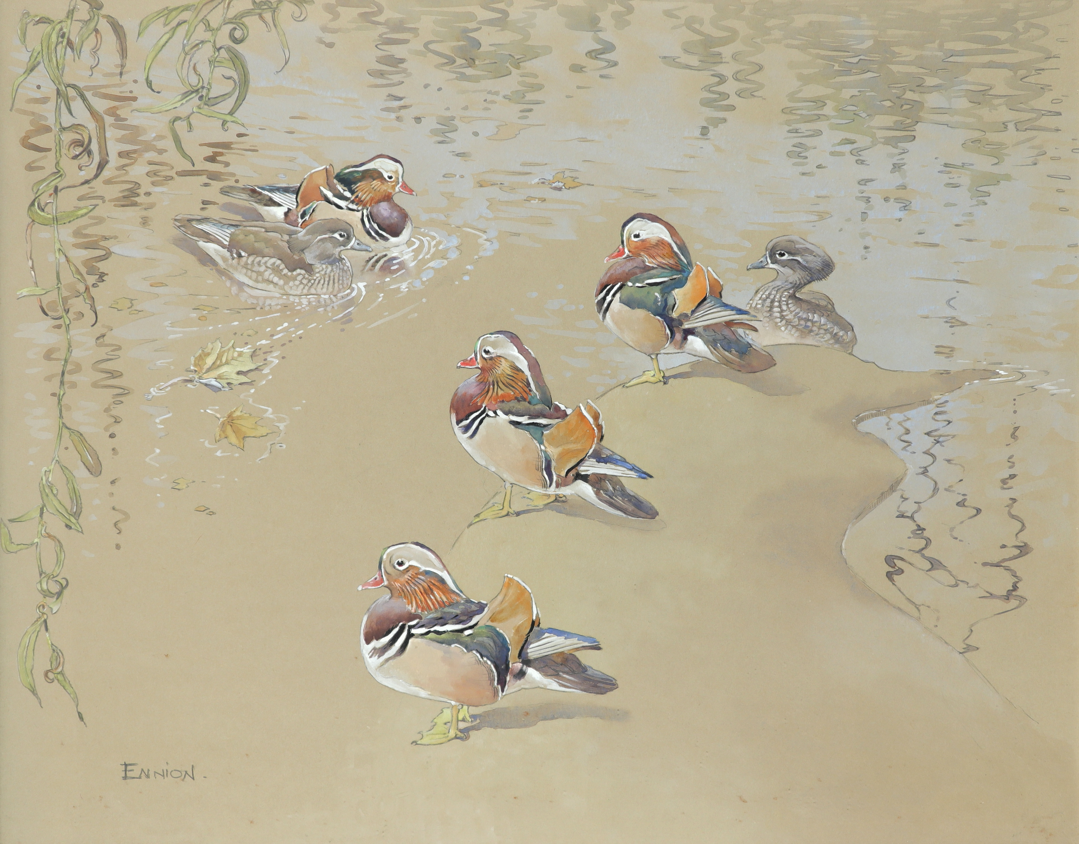 ‡ Eric Arnold Roberts Ennion (1900-1981) Mandarin ducks Signed Watercolour and pencil heightened