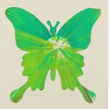 ‡ Damien Hirst (b.1965) Butterfly spin painting Printed signature to verso Acrylic on card 45 x 45cm