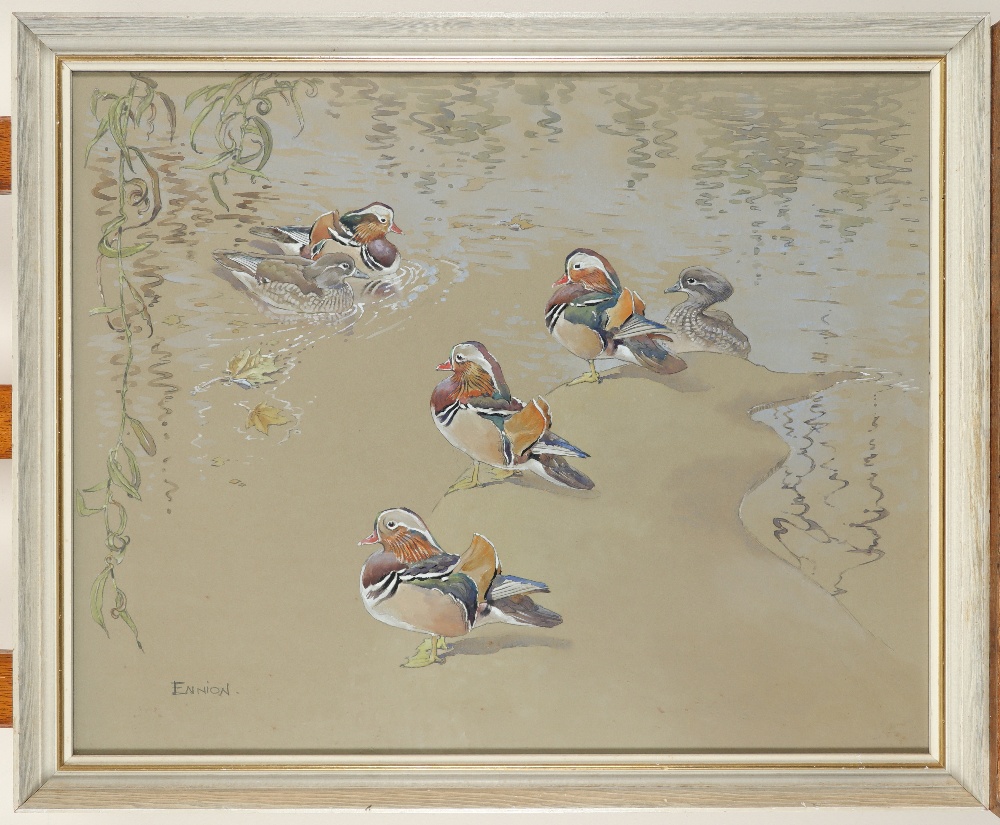 ‡ Eric Arnold Roberts Ennion (1900-1981) Mandarin ducks Signed Watercolour and pencil heightened - Image 2 of 3