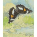 ‡ Gordon Beningfield (1936-1998) Common eggfly (Hypolimnas bolina) Signed Watercolour heightened