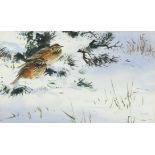 ‡ Rodger McPhail (b.1953) Redwings in the snow Signed with initials Watercolour 11.7 x 19.1cm