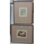 Mary D A Martin (20th century) - Study of a tiger and study of a resting cat (2) artist proof