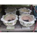 A set of four weathered cast composition stone garden urns, with squat circular cabbage leaf