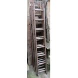 Five wooden extending ladders, varying size (to be sold for display purposes only)