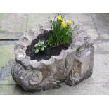 A pair of weathered cast composition stone planters in the form of nautilus shells (planted), approx