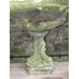 A weathered cast composition stone two sectional birdbath with shell shaped bowl raised on