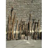 One lot of mainly vintage gardening hand tools, with long ashwood handles to include T shaped