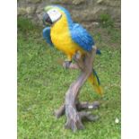 A cast resin model of a Macaw perched on a branch with well detailed features, 66 cm high
